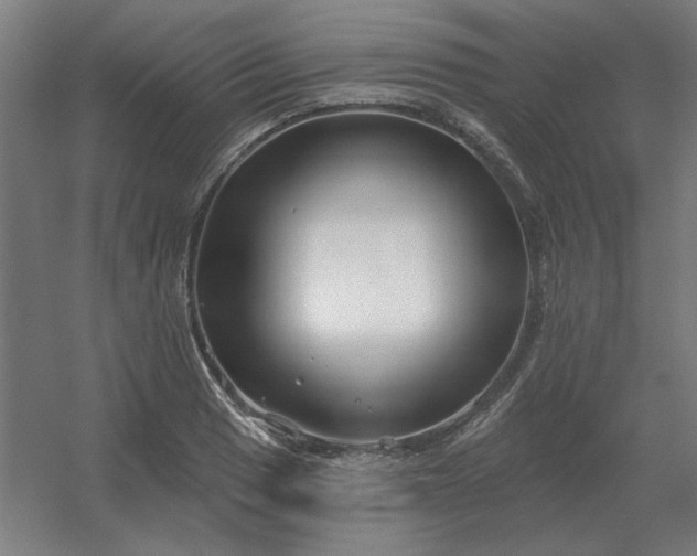 X0000054421033200508121746