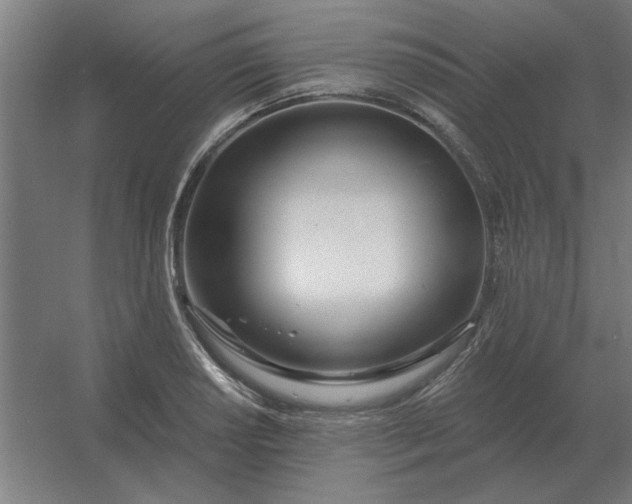 X0000054421034200508121746