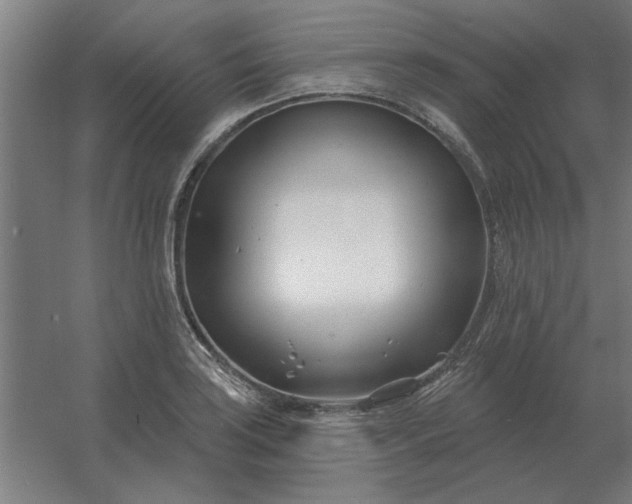 X0000054421035200508121746