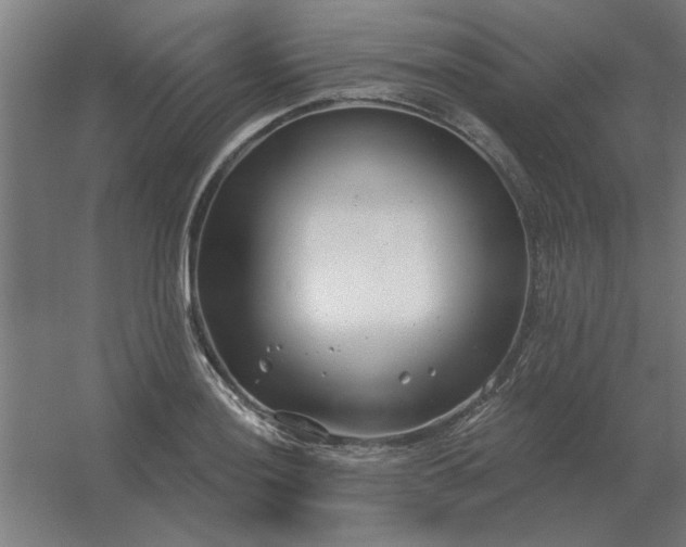 X0000054421036200508121746