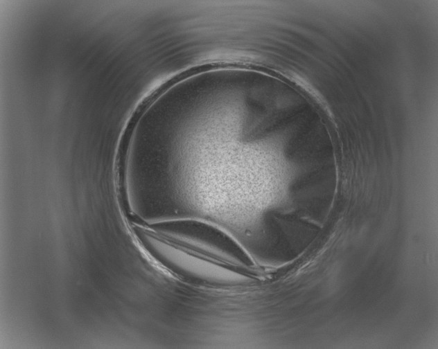 X0000054421037200508121746