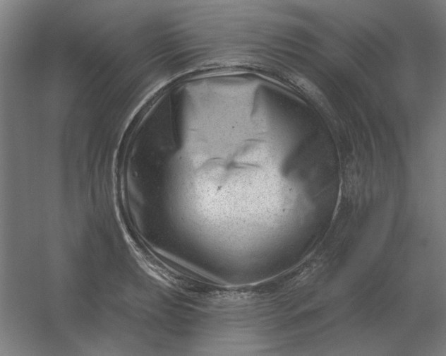 X0000054421039200508121746