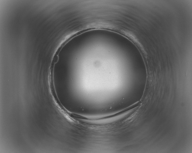 X0000054421040200508121746