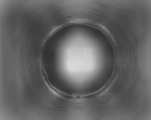 X0000054421041200508121746