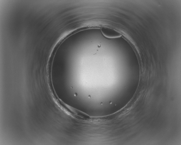 X0000054421045200508121746