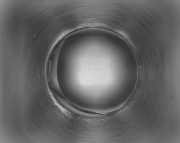 X0000054421046200508121746