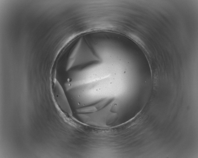 X0000054421047200508121746