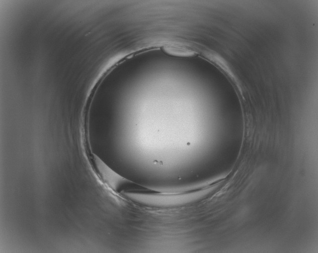 X0000054421048200508121746