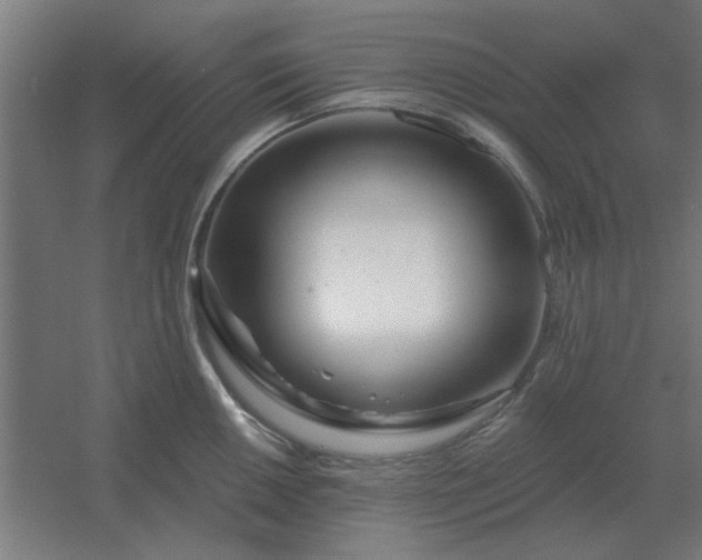 X0000054421050200508121746