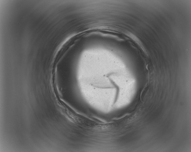 X0000054421051200508121746