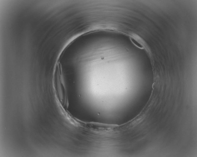 X0000054421052200508121746