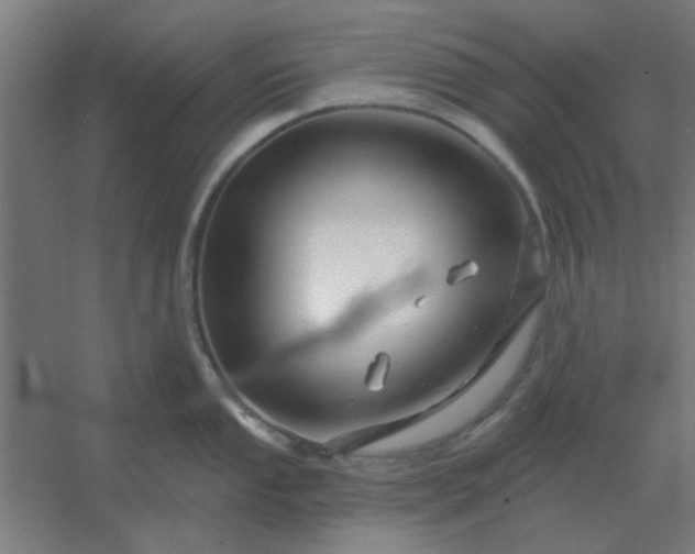 X0000054421053200508121746