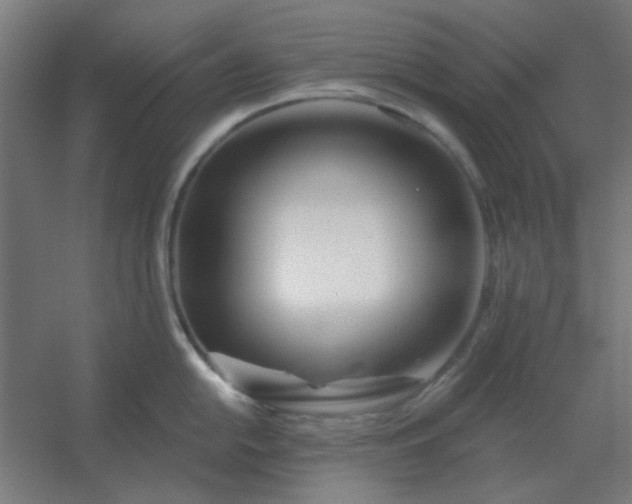 X0000054421054200508121746