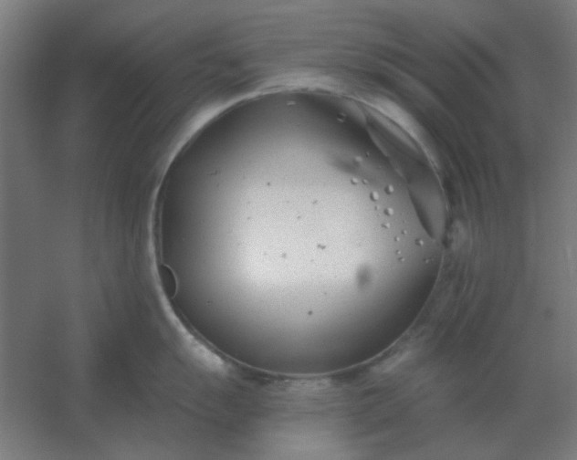 X0000054421055200508121746