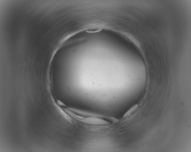 X0000054421056200508121746