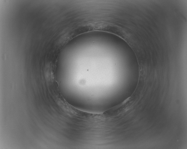 X0000054421058200508121745