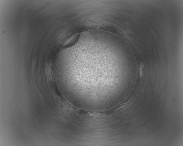 X0000054421059200508121745