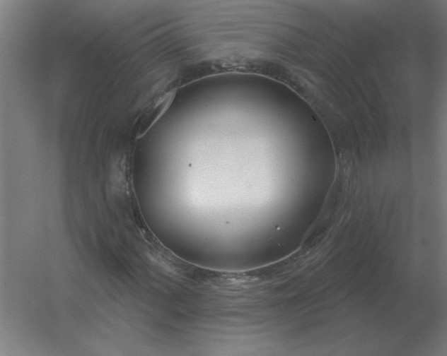 X0000054421060200508121745