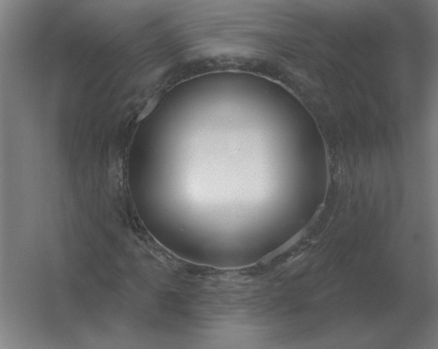 X0000054421061200508121745