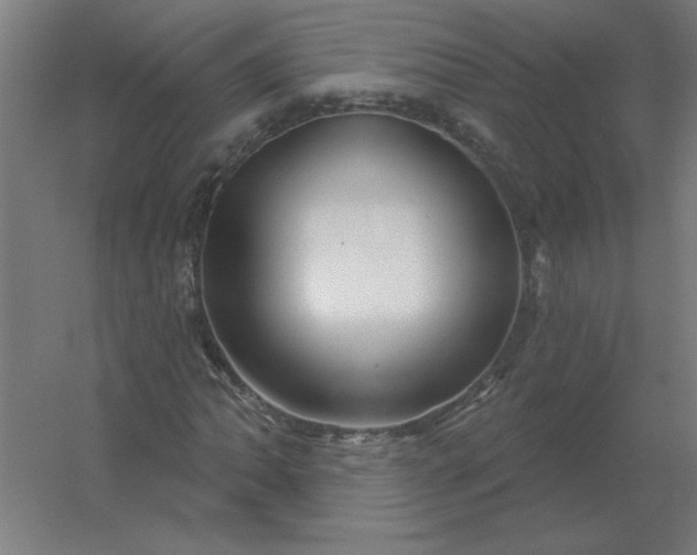 X0000054421062200508121745