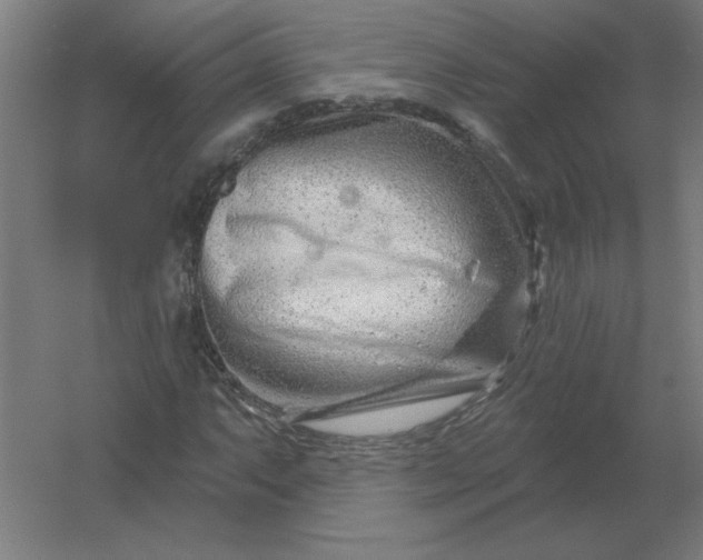 X0000054421063200508121745