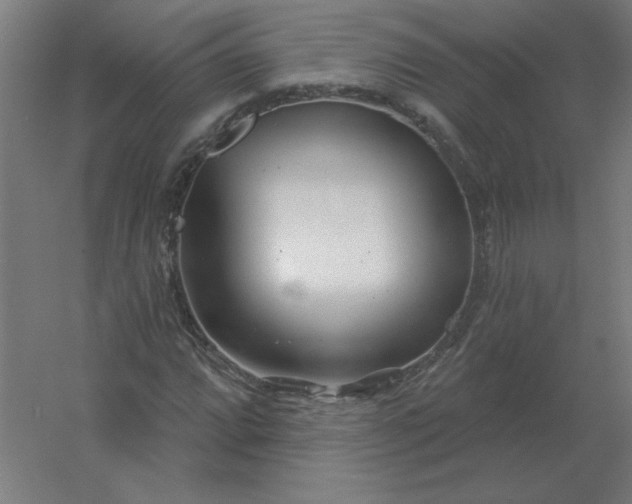 X0000054421064200508121745