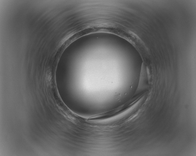 X0000054421065200508121745