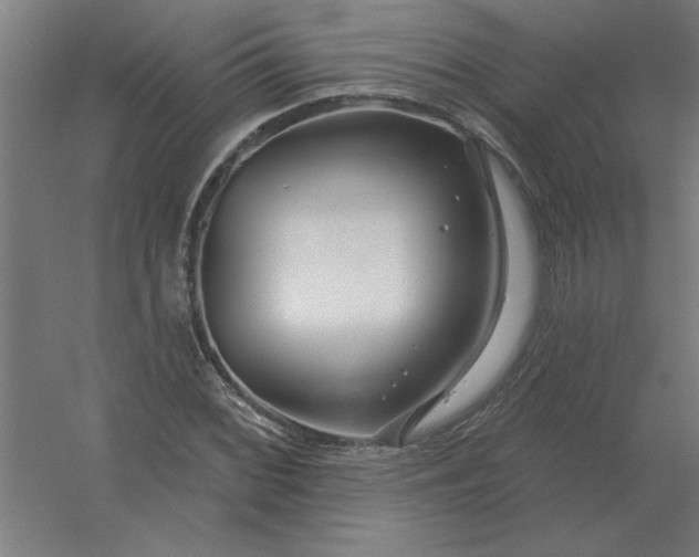 X0000054421068200508121745