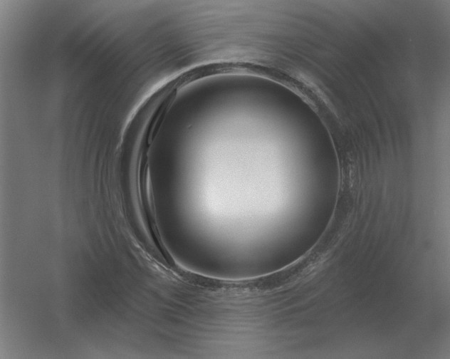 X0000054421069200508121745