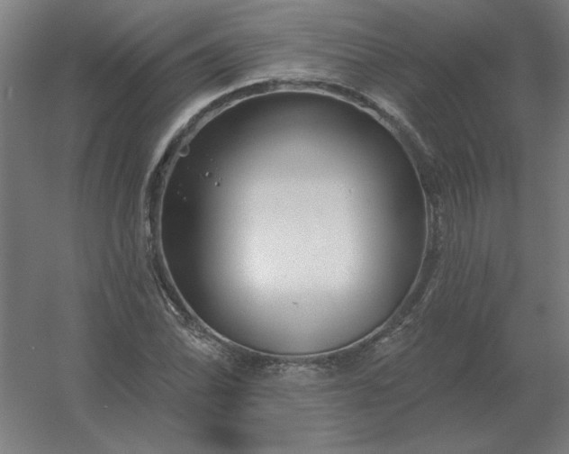 X0000054421070200508121745