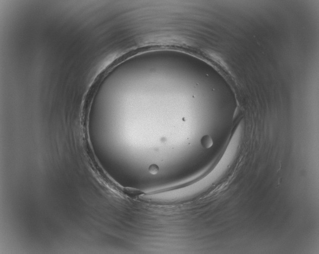 X0000054421071200508121745