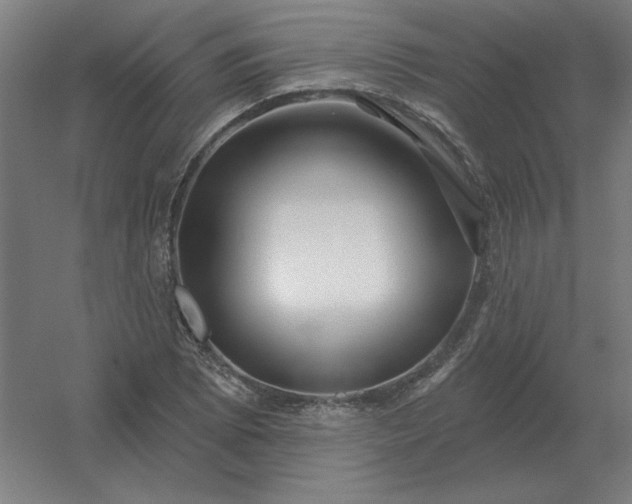 X0000054421073200508121745