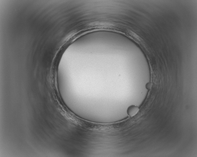 X0000054421074200508121745