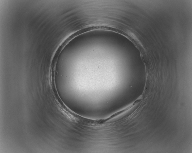 X0000054421076200508121745