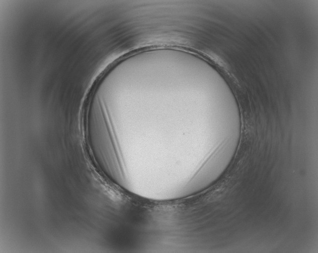 X0000054421078200508121745