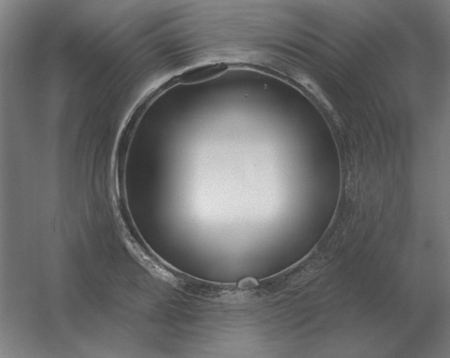 X0000054421080200508121745