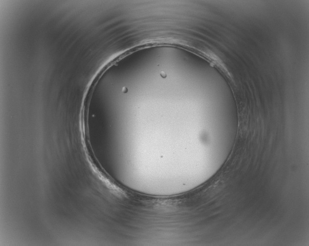 X0000054421084200508121745