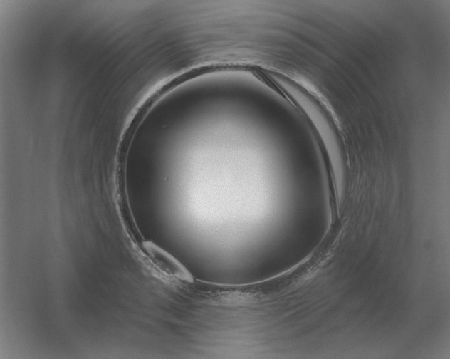 X0000054421085200508121745