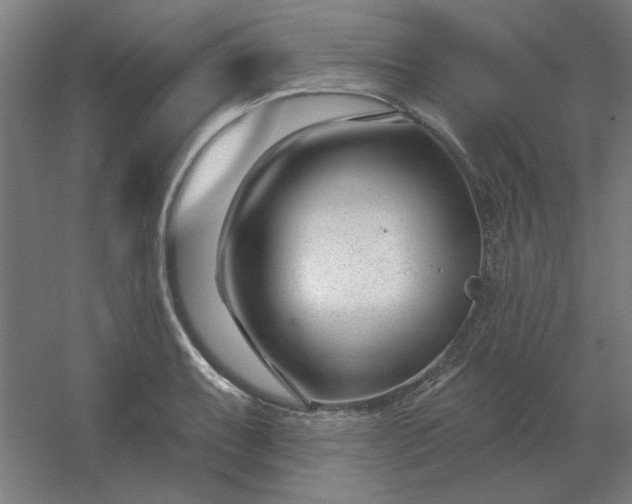 X0000054421087200508121745