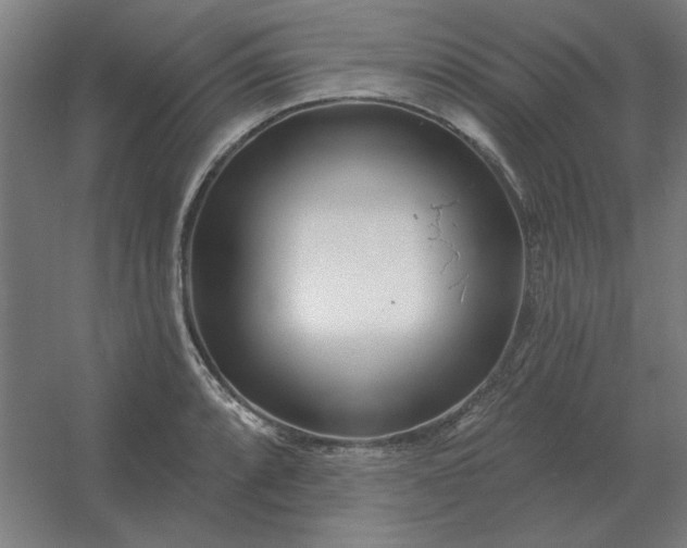 X0000054421088200508121745