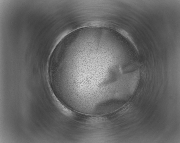 X0000054421091200508121745