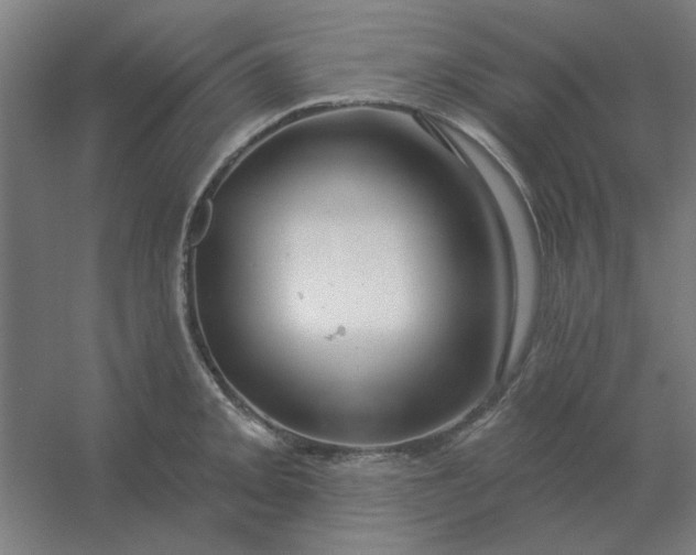 X0000054421093200508121745