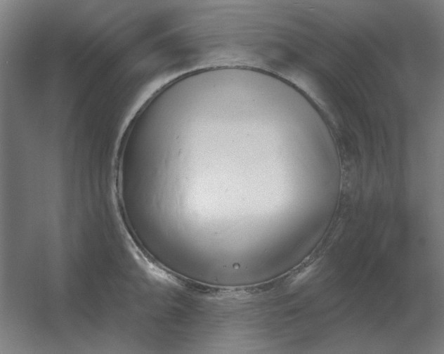 X0000054421094200508121745