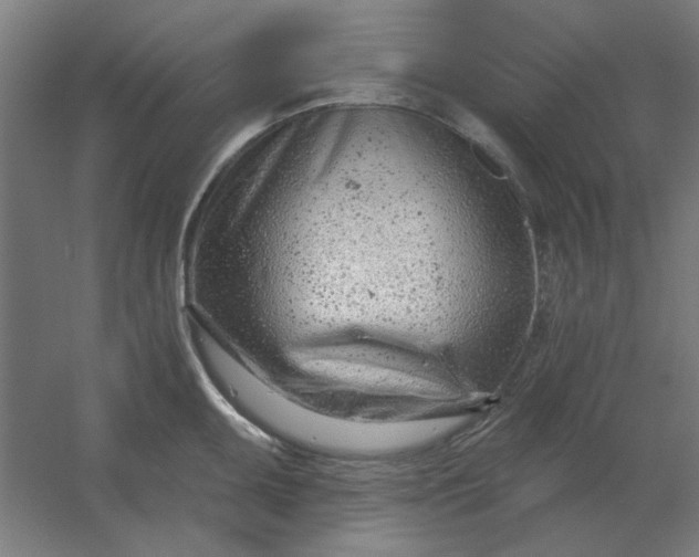 X0000054421095200508121745