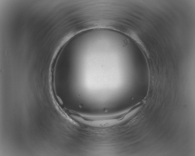 X0000054421096200508121745