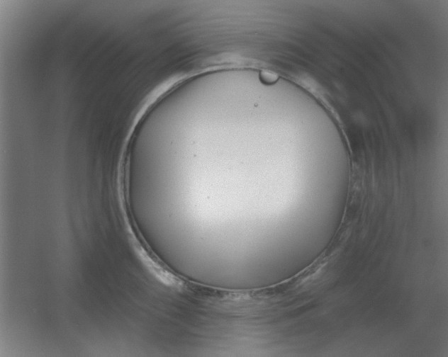 X0000054421098200508121745