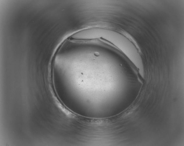 X0000054421099200508121745