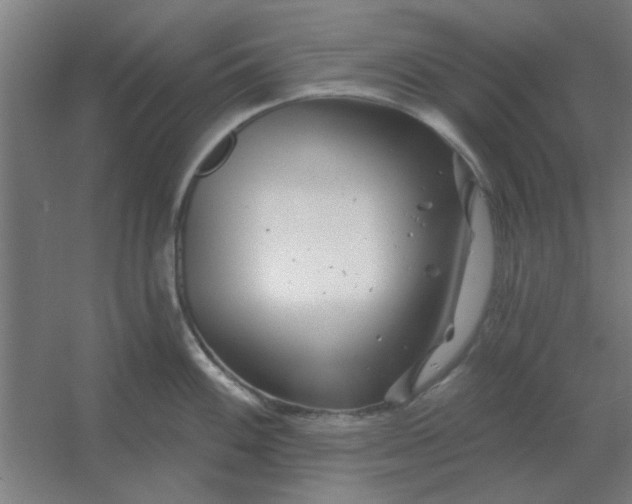 X0000054421100200508121745