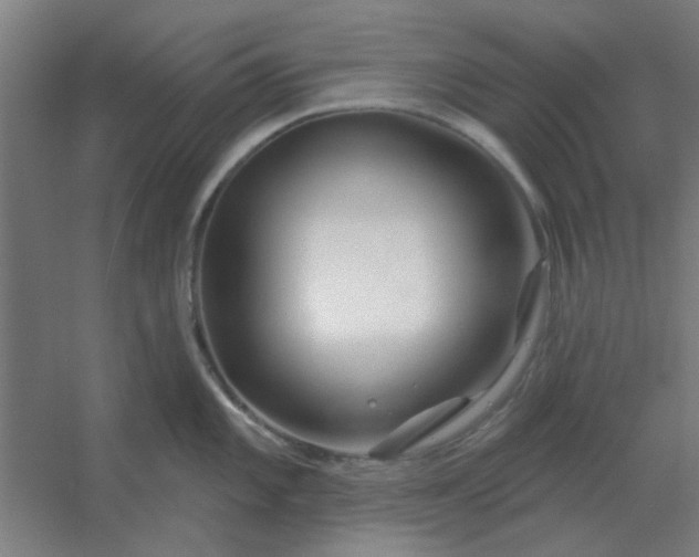 X0000054421101200508121745