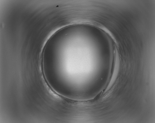 X0000054421102200508121745